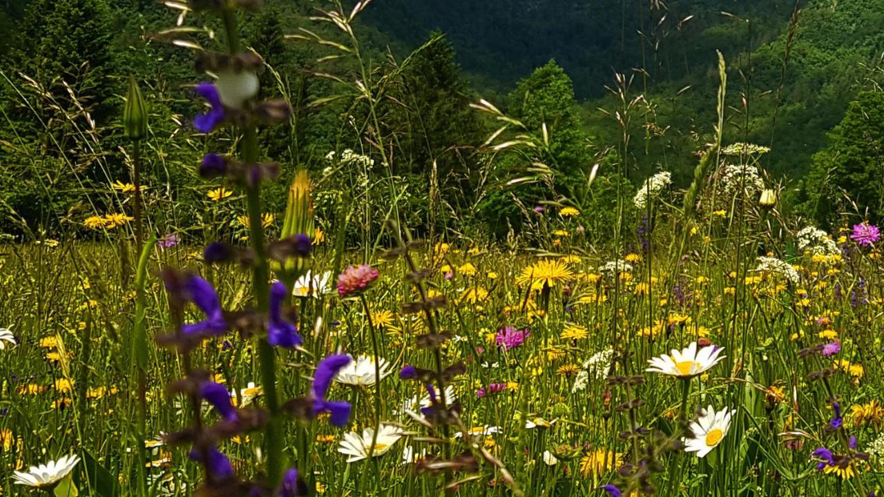 Apartmaji Pekovec Bohinj Buitenkant foto