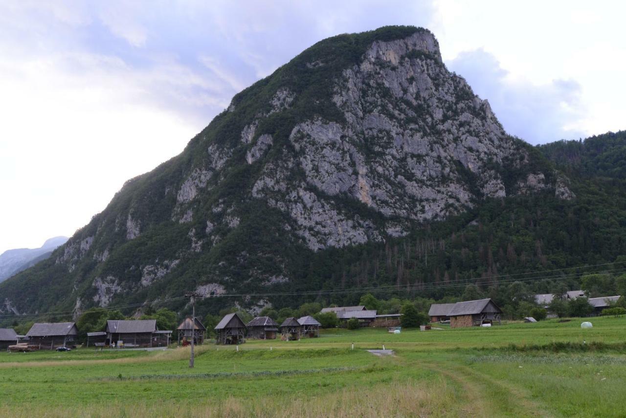Apartmaji Pekovec Bohinj Buitenkant foto